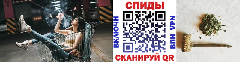 БУТИРАТ буратино  Купить где  Родники 