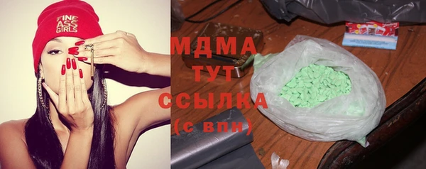 ПСИЛОЦИБИНОВЫЕ ГРИБЫ Горно-Алтайск