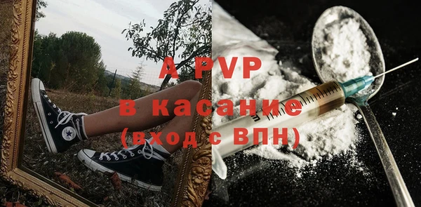 ПСИЛОЦИБИНОВЫЕ ГРИБЫ Горно-Алтайск
