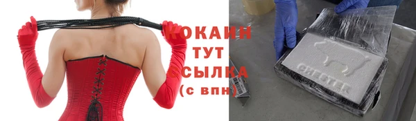 ПСИЛОЦИБИНОВЫЕ ГРИБЫ Горно-Алтайск