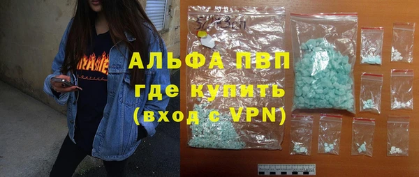 ПСИЛОЦИБИНОВЫЕ ГРИБЫ Горно-Алтайск