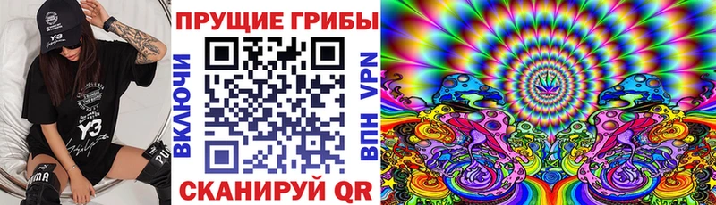 Купить закладки  Родники  Галлюциногенные грибы мухоморы 